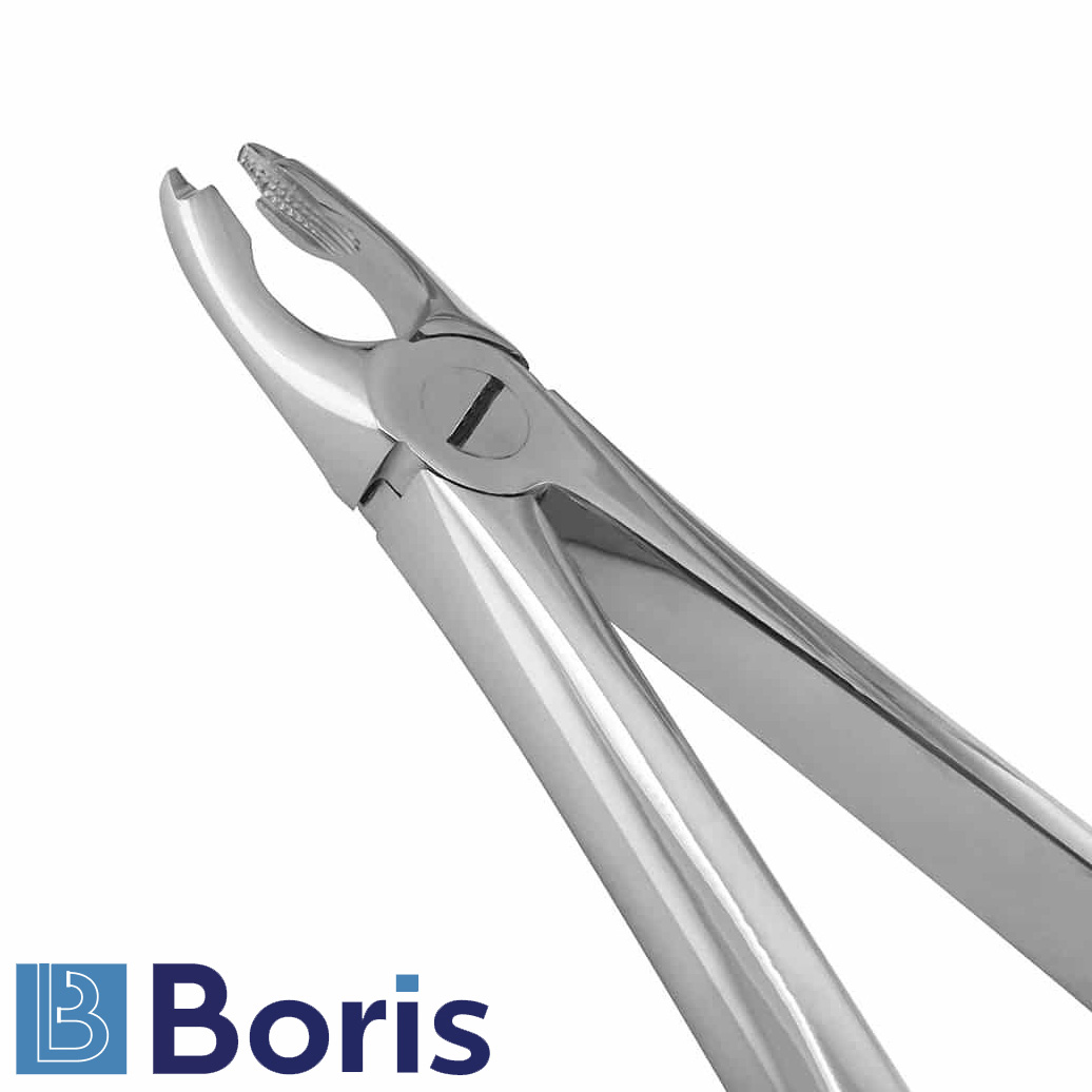 34-english-pattern-extraction-forceps-notched-beaks