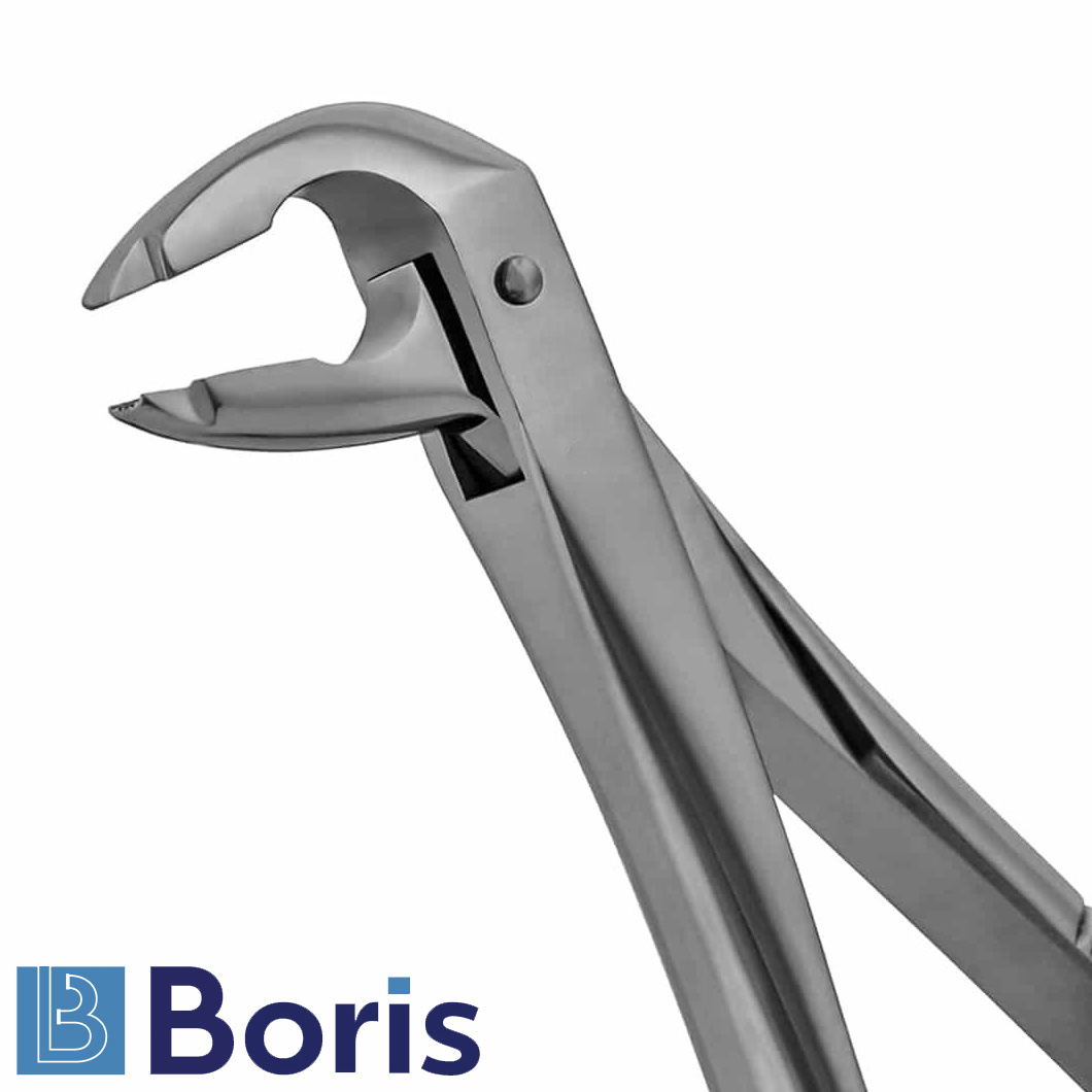 36n-english-pattern-extraction-forceps-notched-beak