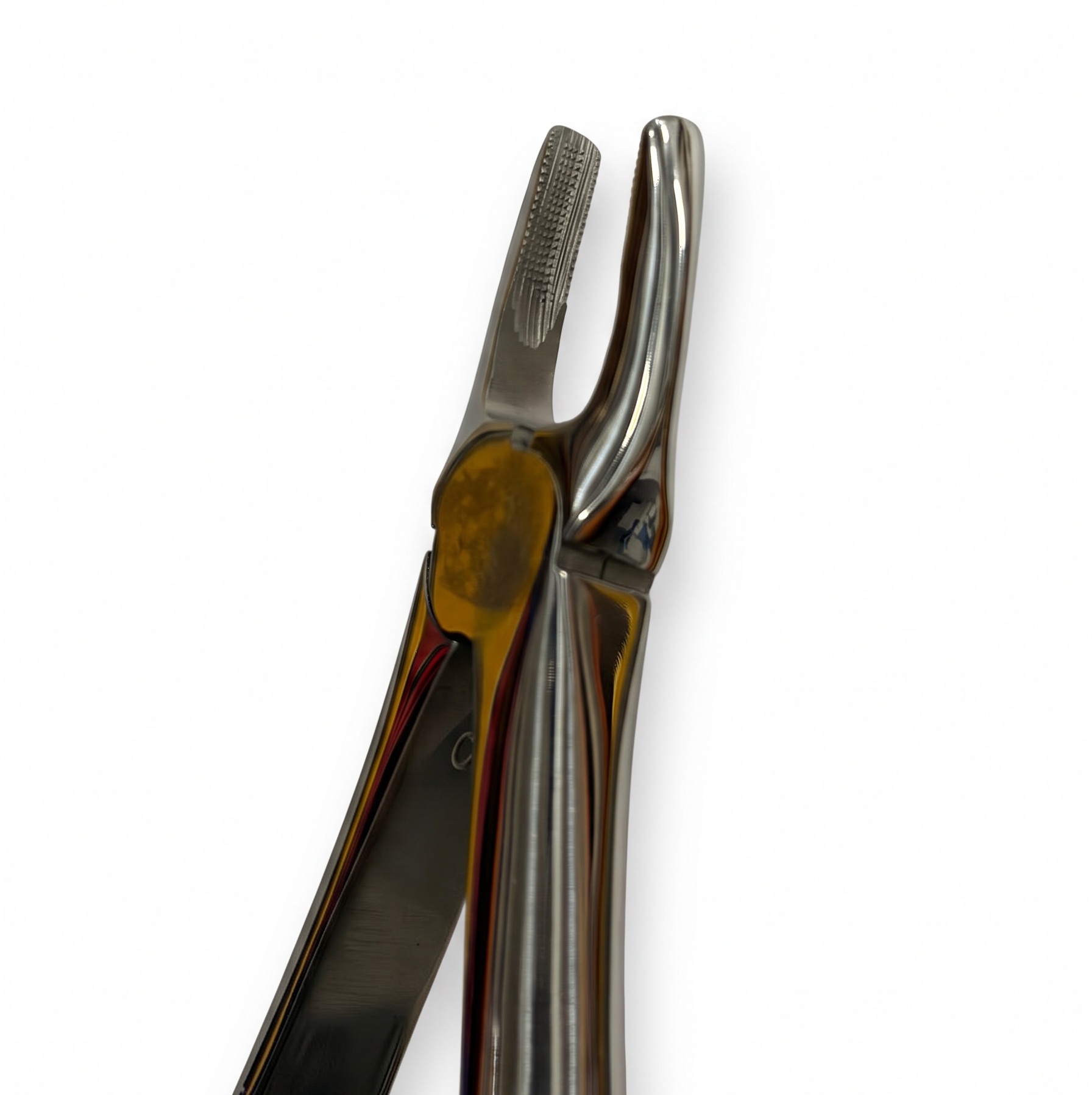 upper-straight-forceps