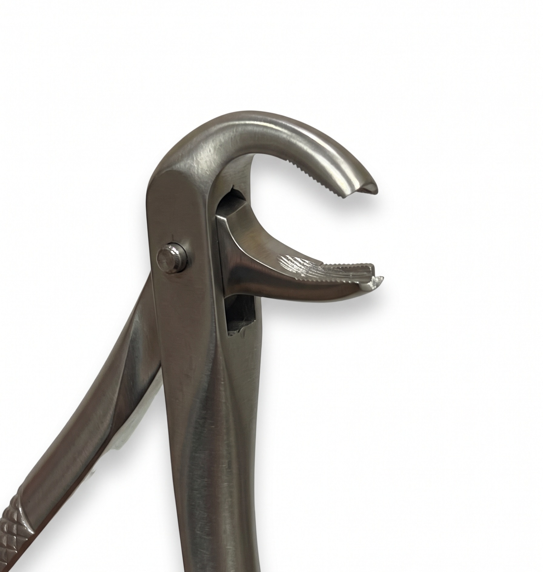 lower-molar-forceps